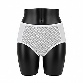 GÜMÜŞ TÜLLÜ BATO BAYAN KÜLOT